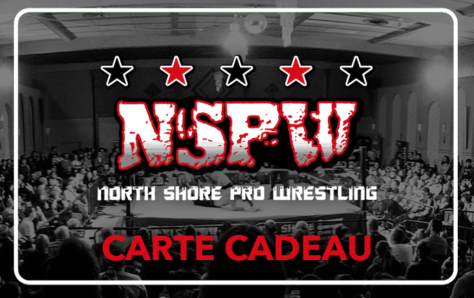 NSPW Pro Wrestling Academy